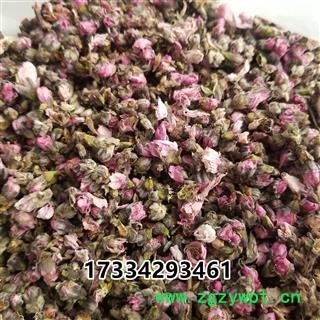 桃花   家桃花图3