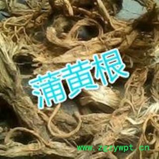 诺源药材行中药材 蒲黄根 蒲儿根 蒲包图2