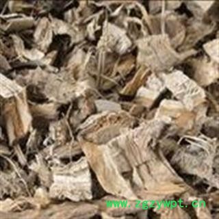 诺源药材行中药材 蒲黄根 蒲儿根 蒲包图3