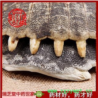 鳖甲成货 药典正品 中药材  瑞芝堂产地直供1000克 规格齐全 一站购齐图2
