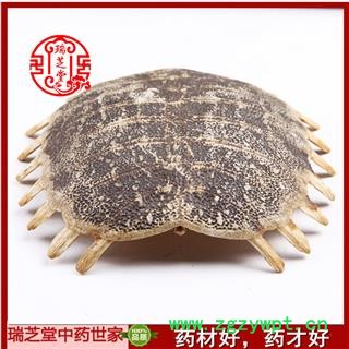 鳖甲成货 药典正品 中药材  瑞芝堂产地直供1000克 规格齐全 一站购齐图3