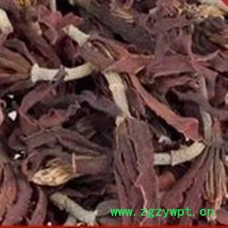 诺源药材行中药材优质白玉花 玉兰花图2