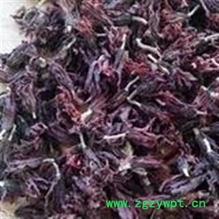 诺源药材行中药材优质白玉花 玉兰花图3