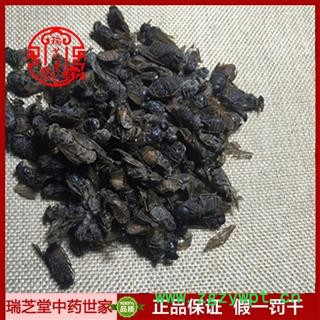 虻虫统货 陕西虻虫 药典正品 中药材 瑞芝堂产地直供1000克 规格齐全 一站购齐图4