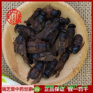 虻虫统货 陕西虻虫 药典正品 中药材 瑞芝堂产地直供1000克 规格齐全 一站购齐图2