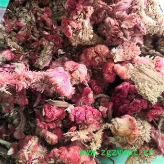 诺源药材行鸡冠花 无硫新货图2