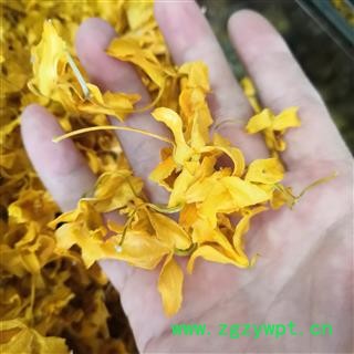 安祁名药石斛花   鼓槌花图3