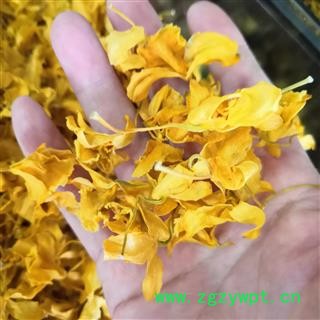 安祁名药石斛花   鼓槌花图2