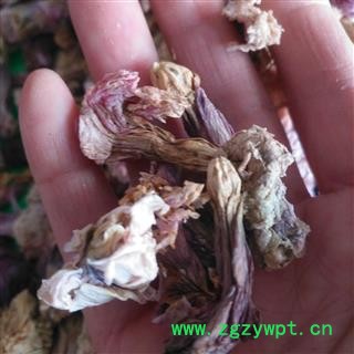 安祁名药正品蜀葵花 蜀季花图3