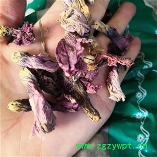 安祁名药正品蜀葵花 蜀季花图2