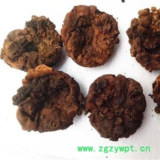 干羊胎盘羊胎素 紫河车粉中药材图2
