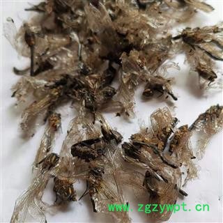 瑞森药材行 蜻蜓 马大头 猫猫丁 诸乘、胡蜊、马大头、纱羊、青娘子图2