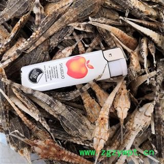 诺源药材行优质海燕 统 产地 安徽图2