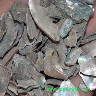 诺源药材行中药材石决明 规格多样图2