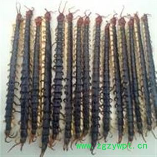 诺源药材行蜈蚣   中大条  另有小条和大条图2