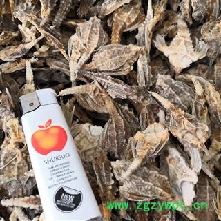 诺源药材行中药材海燕 8元一对另有海龙图3