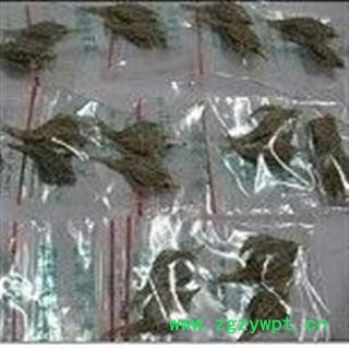 诺源药材行中药材海燕 8元一对另有海龙图2