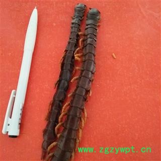 诺源药材行蜈蚣 蜈蚣肉 蜈蚣皮图2