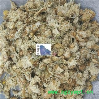 菊花 颜色好 足干 无虫蛀 国峰药业 重在品质 产地 河北省图2