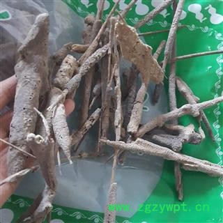 安祁名药正品紫梢花  紫霄花图2