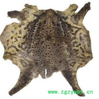 安祁名药优质蟾蜍 蟾皮 完整蟾皮图2