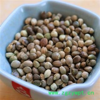 火麻仁 火麻仁大粒 产地 陕西 华美中药 产地直销 重在品质图2