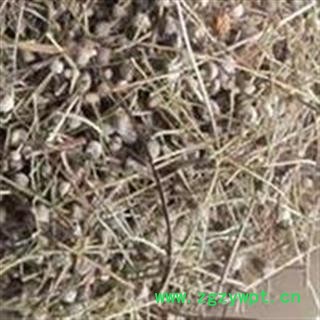 谷精草 今年新货 过筛无杂质 无虫蛀无霉变  产地 湖南省图2