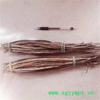 安祁名药海蛇 可搭配海龙海马图2