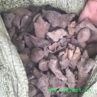 安祁名药五倍子 肚倍角倍批发零售图2