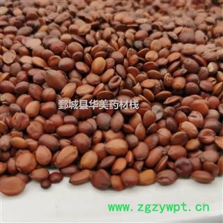 正品 酸枣仁 98货 产地 山东省  华美中药 产地直销 重在品质图2