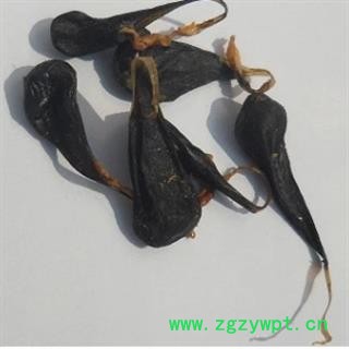 安祁名药中药材刺猬皮 刺猬胆图2