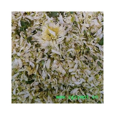 贡菊花 黄山贡菊花花瓣 产地 安徽省