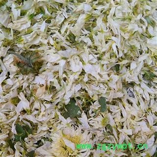 贡菊花 黄山贡菊花花瓣 产地 安徽省图2