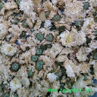 贡菊花 正品黄山贡菊花 产地 安徽省图2