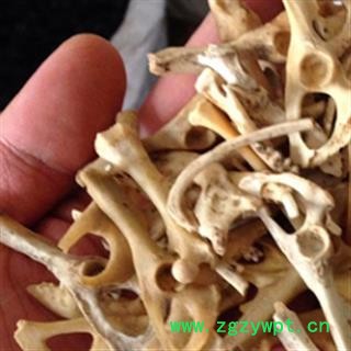 安祁名药中药材刺猬皮 刺猬骨另有刺猬针图2