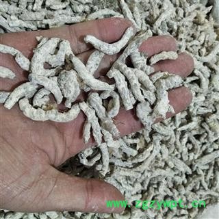 僵蚕 正品僵蚕无假。保证质量 产地 广西壮族自治区图4