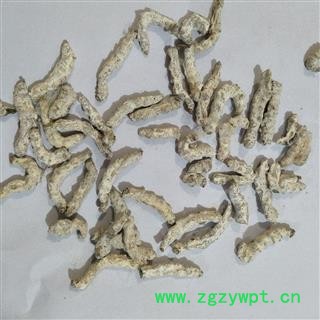 僵蚕 正品僵蚕无假。保证质量 产地 广西壮族自治区图2