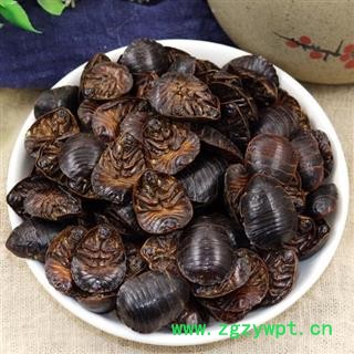 土元 秦岭优质土鳖虫节节虫 日晒无硫500g图2