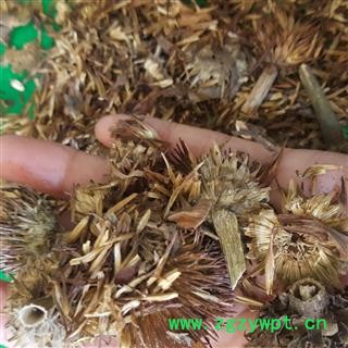 小丽百草行中药材紫锥菊花松果菊紫锥花紫雏菊图2