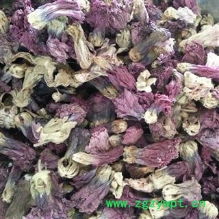 小丽百草行中药材 芙蓉花 拒霜花，木莲，木芙蓉，三变花、醉芙蓉图2