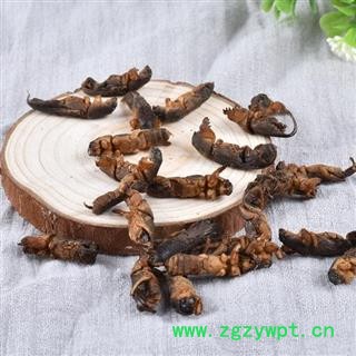 蝼蛄  耕狗土狗子 秦岭特产250g图3