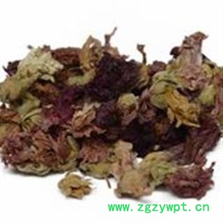 小丽百草行红蜀季花 蜀葵花蜀葵花 蜀季花 擀杖花 秫秸花 公鸡花 一丈红图2