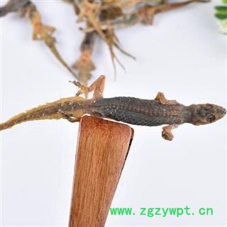 中药材干壁虎 天龙 手工制作 日晒50g图3