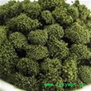 小丽百草行三七花  3年三七花新货颜色好原色图2