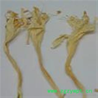 小丽百草行新货  白玉簪花图2