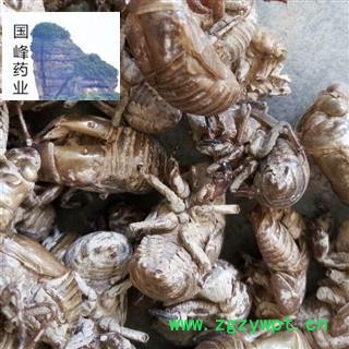 蝉蜕 统货 沙土货 少泥土 无虫蛀 国峰药业 重在品质 产地 山东省图2