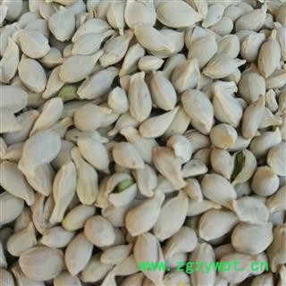 橘核 橘核 正品橘核 产地 山东省 安顺药业 专注品质 产地 山东省图2