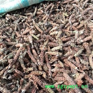 夏枯球 夏枯球净货 产地 山西省图2