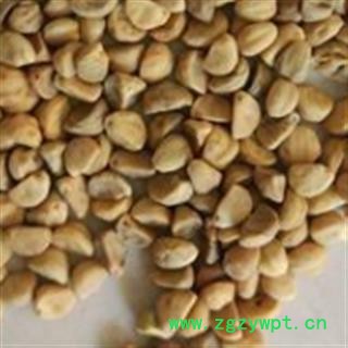 牵牛子 白丑选货 质量好价格低 产地 河南省图2