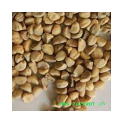 牵牛子 白丑选货 质量好价格低  产地 河南省